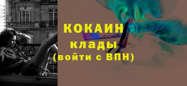 гашик Богородск