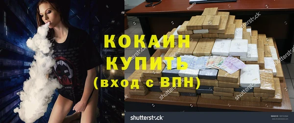 твердый Надым