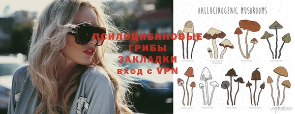 ГАЛЛЮЦИНОГЕННЫЕ ГРИБЫ Богородицк