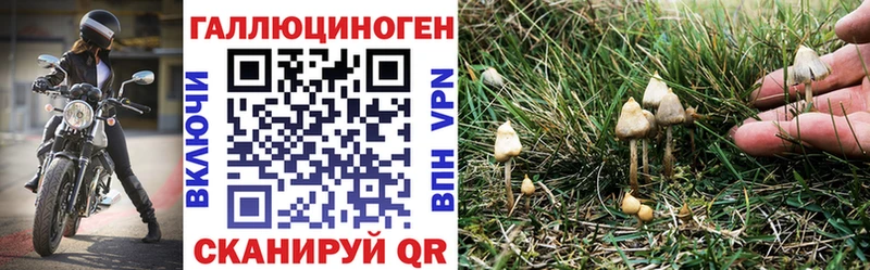 Галлюциногенные грибы GOLDEN TEACHER  Тамбов 